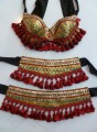  Beautiful Brocade Bra Belt Set  No.29